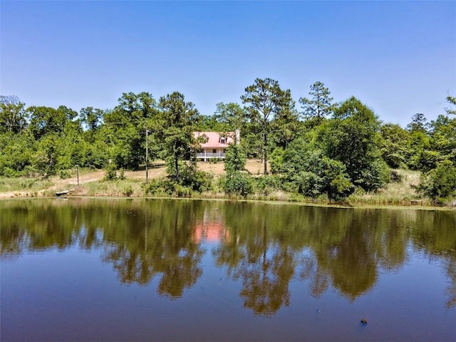 17180 Jim Platt Rd, Citronelle, AL 36522 - water view