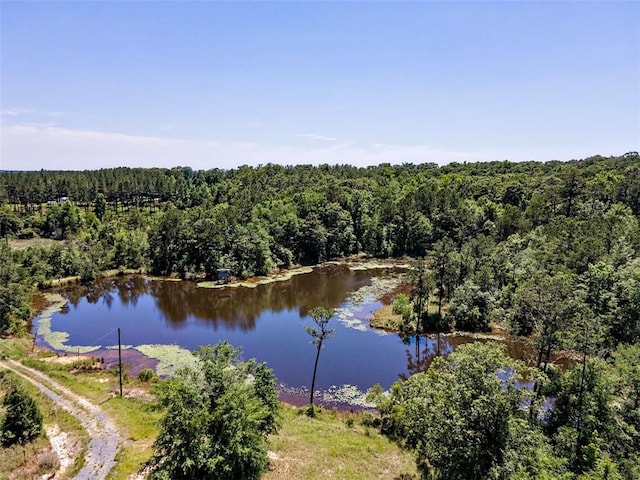 17180 Jim Platt Rd, Citronelle, AL 36522 - water view with a forest