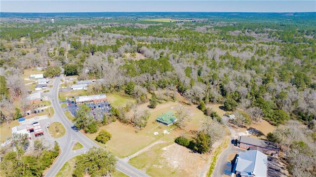 52780 State Highway 59, Stockton, AL 36579 - drone / aerial view featuring a forest view