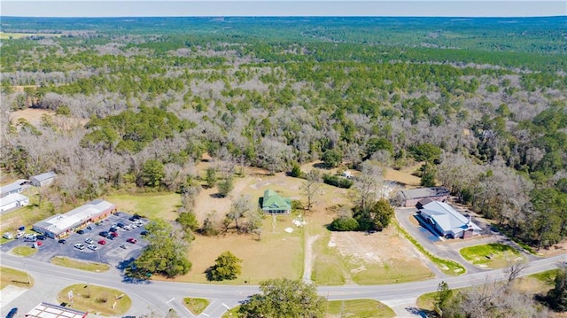 52780 State Highway 59, Stockton, AL 36579 - drone / aerial view featuring a view of trees