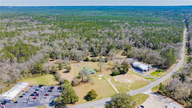 52780 State Highway 59, Stockton, AL 36579 - birds eye view of property featuring a wooded view