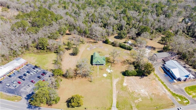 52780 State Highway 59, Stockton, AL 36579 - bird's eye view