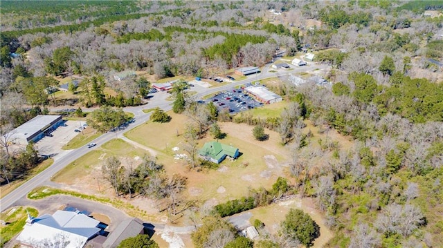 52780 State Highway 59, Stockton, AL 36579 - aerial view