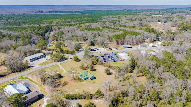 52780 State Highway 59, Stockton, AL 36579 - bird's eye view featuring a wooded view