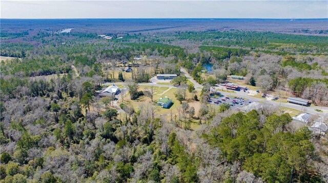 52780 State Highway 59, Stockton, AL 36579 - bird's eye view with a view of trees