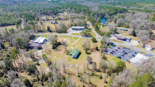 52780 State Highway 59, Stockton, AL 36579 - bird's eye view with a view of trees