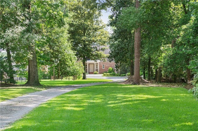 3009 Riverside Dr, Mobile, AL 36605 - view of grassy yard