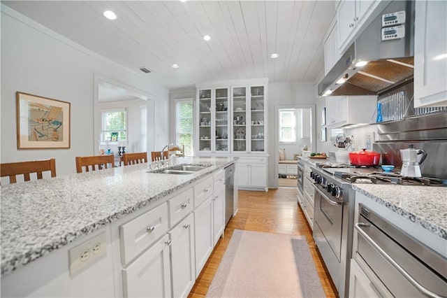 3009 Riverside Dr, Mobile, AL 36605 - kitchen featuring under cabinet range hood, appliances with stainless steel finishes, light wood-type flooring, recessed lighting, and healthy amount of natural light