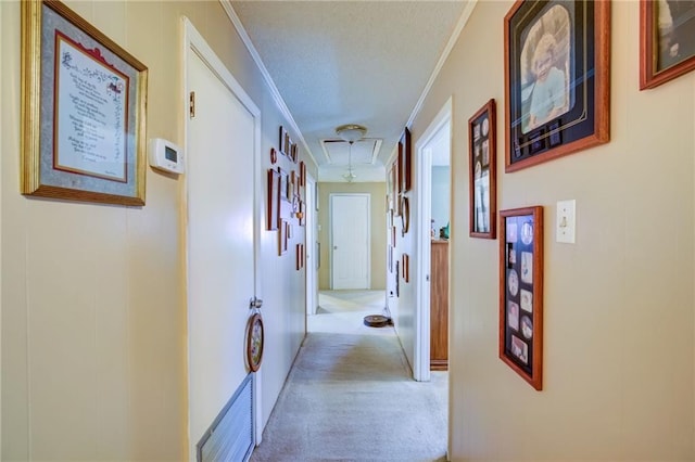 hall with crown molding, carpet, and a textured ceiling