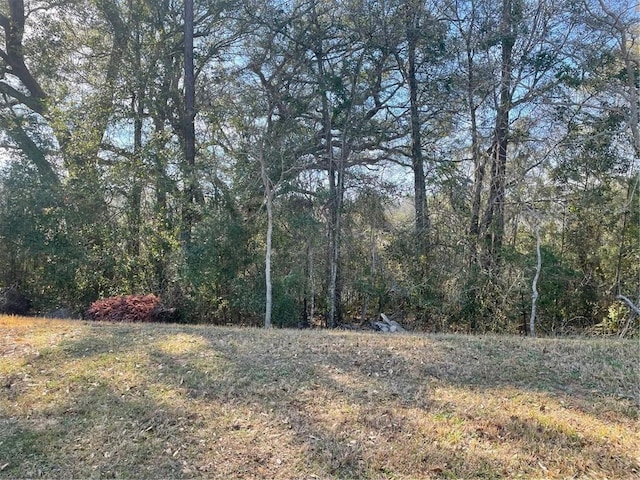 0 Windy Leaf Dr, Grand Bay AL, 36541 land for sale