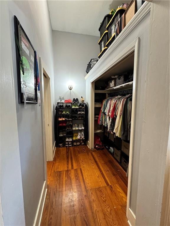 walk in closet with hardwood / wood-style flooring