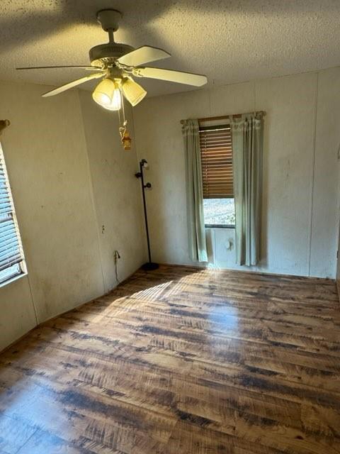 spare room with dark wood-type flooring, a textured ceiling, and a wealth of natural light