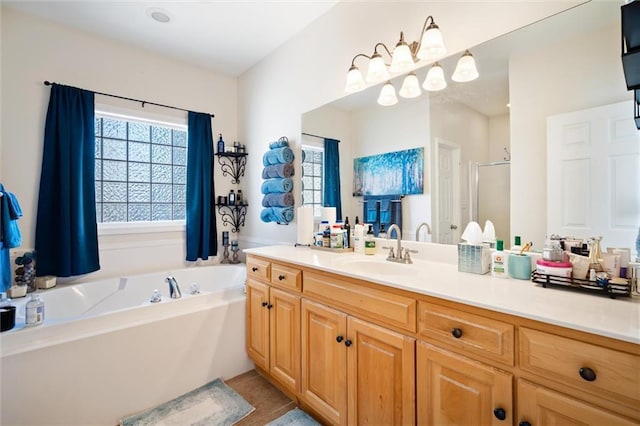 bathroom featuring tile floors, vanity, and a washtub