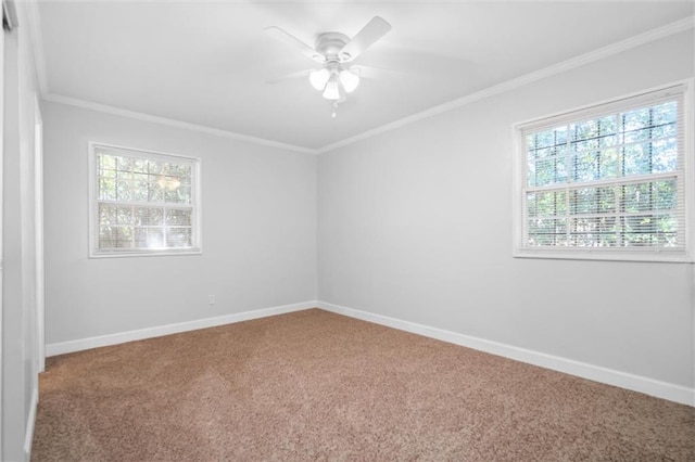 carpeted empty room with crown molding, a healthy amount of sunlight, and ceiling fan