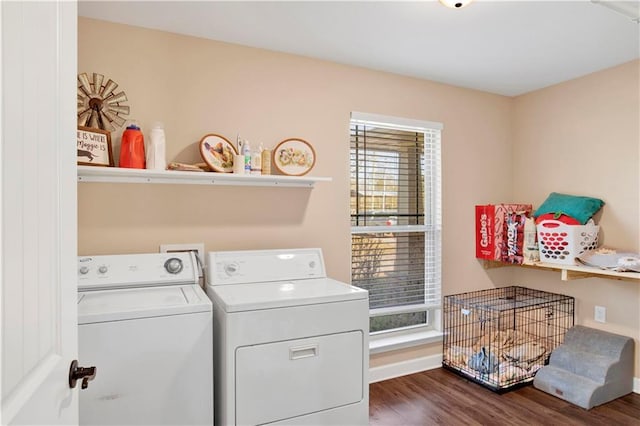 laundry area featuring dark hardwood / wood-style floors and washing machine and clothes dryer