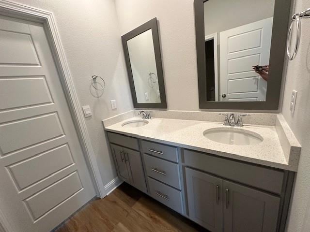 bathroom with wood-type flooring and vanity