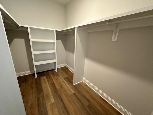 walk in closet featuring dark hardwood / wood-style floors