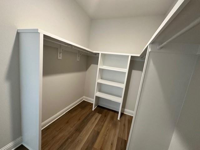 spacious closet with dark wood-type flooring