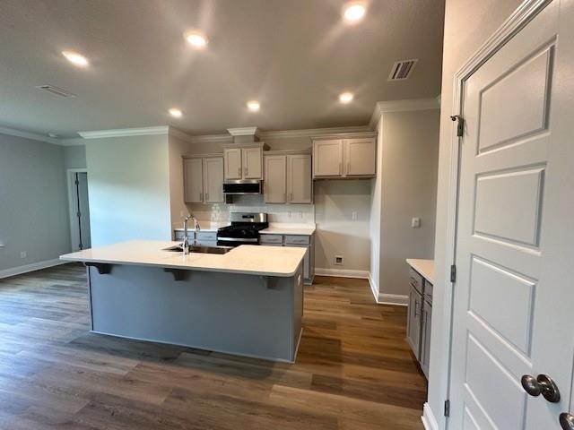 kitchen featuring dark wood-type flooring, stainless steel range oven, a kitchen island with sink, and sink