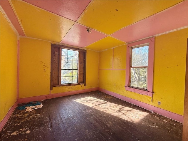 additional living space featuring hardwood / wood-style floors