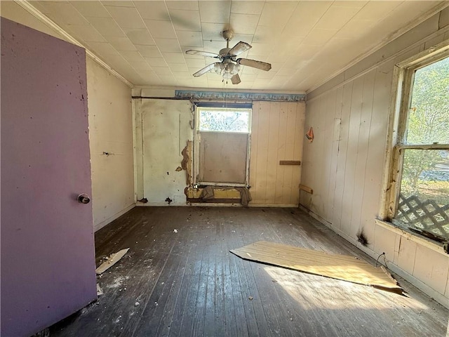 miscellaneous room with ceiling fan, a wealth of natural light, and dark hardwood / wood-style floors