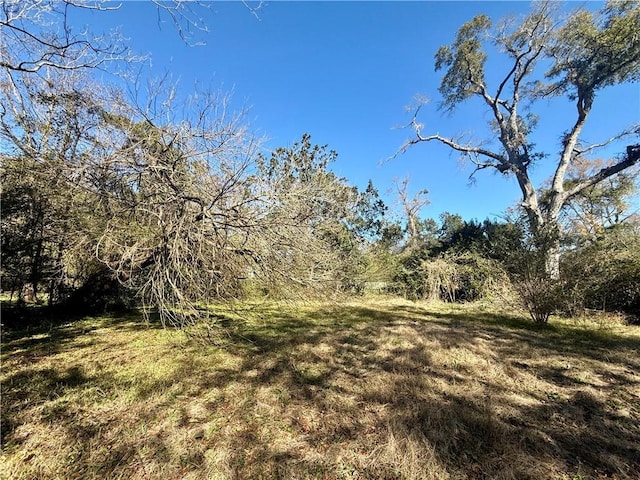 view of nature