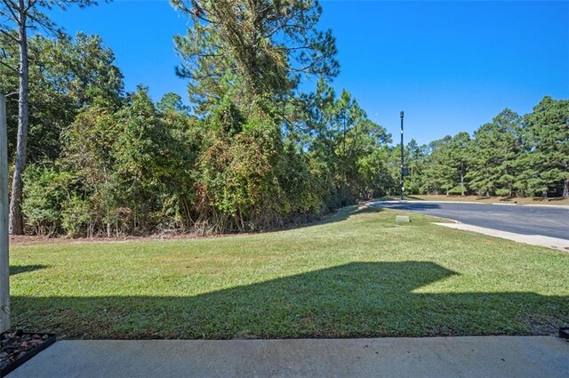 1517 Regency Rd Unit 46, Gulf Shores, AL 36542 - view of street