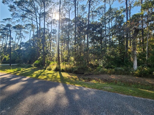 139 Narvaez St, Dauphin Island, AL 36528