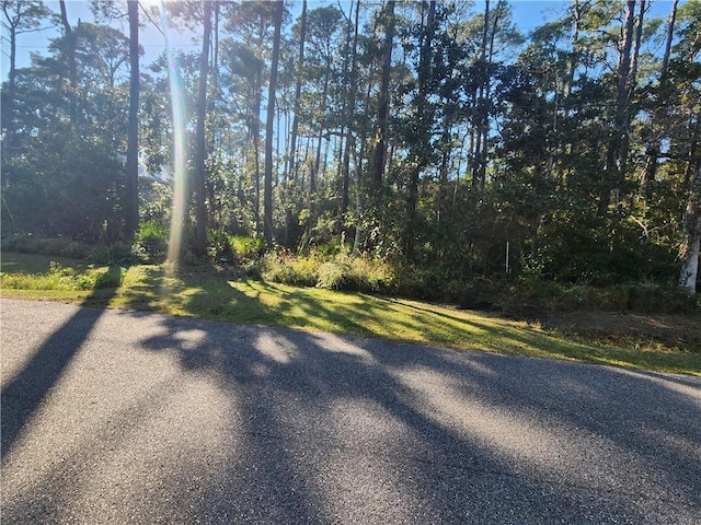 139 Narvaez St, Dauphin Island, AL 36528