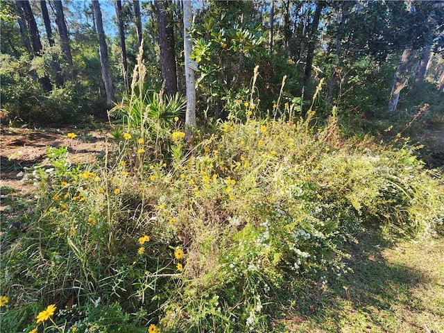 139 Narvaez St, Dauphin Island, AL 36528