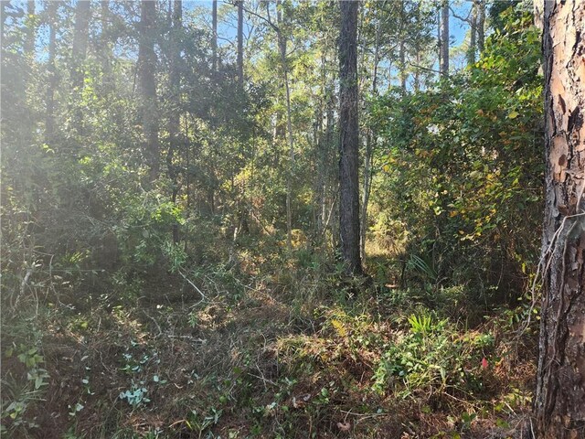 139 Narvaez St, Dauphin Island, AL 36528