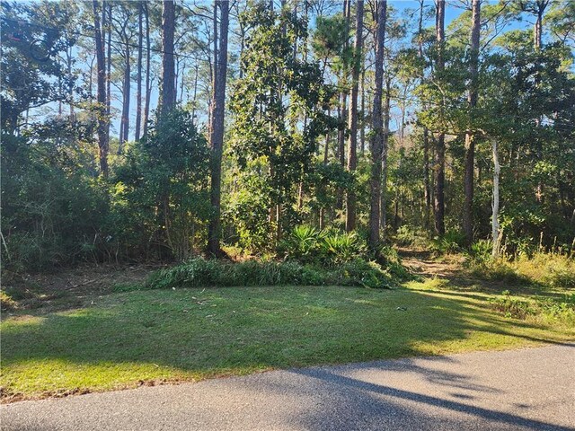 139 Narvaez St, Dauphin Island, AL 36528