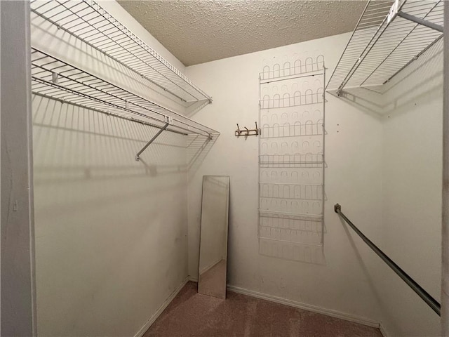 spacious closet featuring carpet flooring