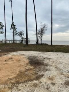 15375 Dauphin Island Pkwy, Coden AL, 36523 land for sale