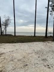 Listing photo 2 for 15375 Dauphin Island Pkwy, Coden AL 36523