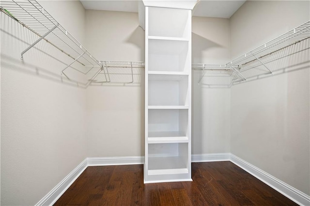 walk in closet featuring wood finished floors