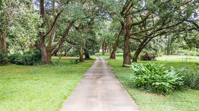 view of community featuring a lawn