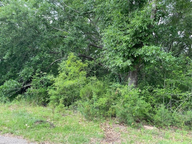 8355 Jessica Ln, Citronelle AL, 36522 land for sale