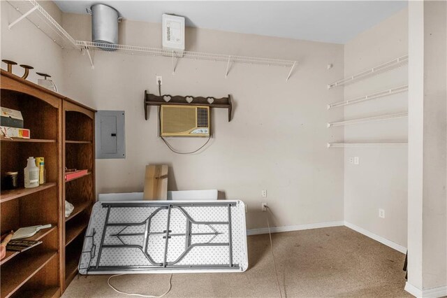 storage area with electric panel and a wall unit AC