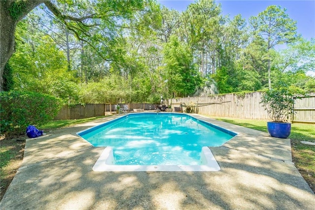 view of swimming pool featuring a fenced in pool, a patio area, and a fenced backyard