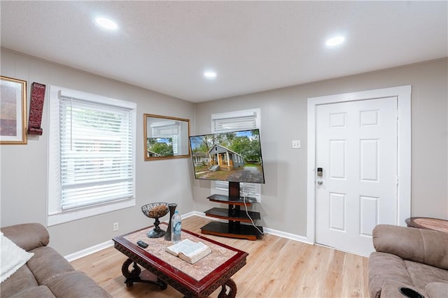 living room featuring light hardwood / wood-style floors