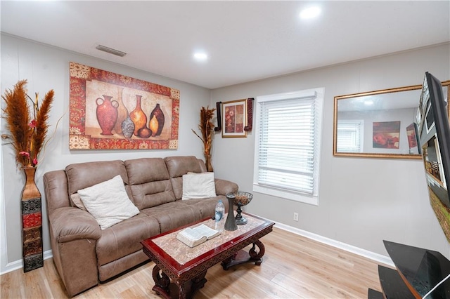 living room featuring light hardwood / wood-style flooring