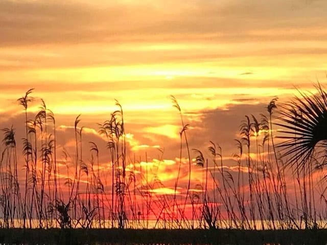 528 Lemoyne Dr Unit 2C, Dauphin Island, AL 36528 - view of nature