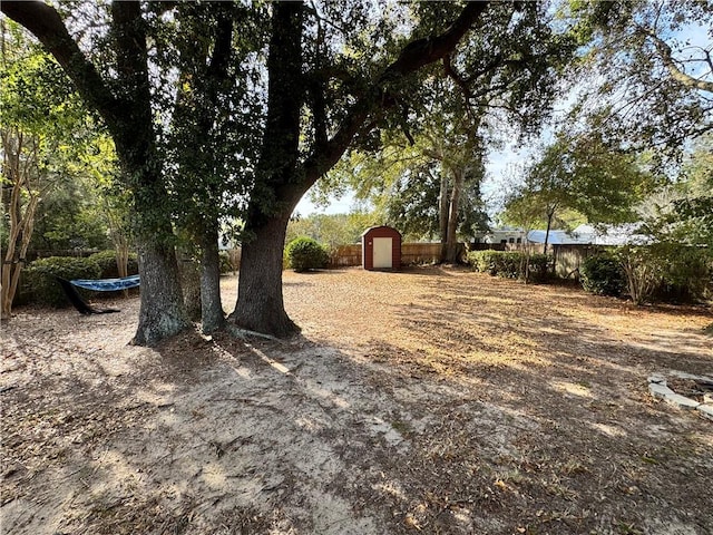 view of yard featuring a shed