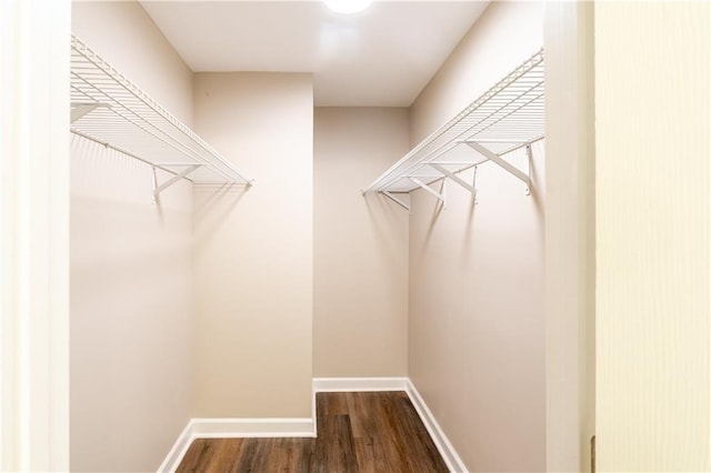 walk in closet with wood-type flooring