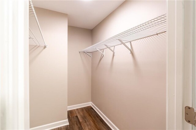 spacious closet with dark hardwood / wood-style flooring