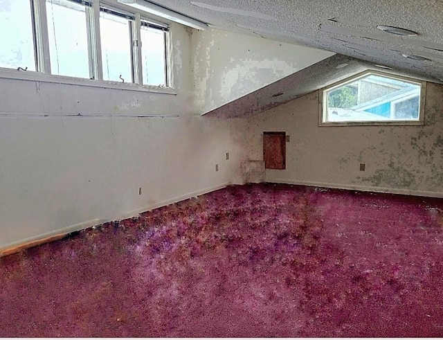 additional living space with lofted ceiling, carpet flooring, a textured ceiling, and baseboards