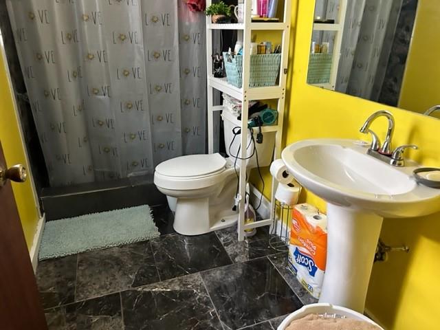 bathroom with toilet and a shower with shower curtain