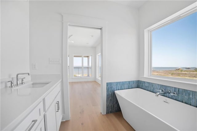 full bathroom featuring wood finished floors, a freestanding bath, and vanity