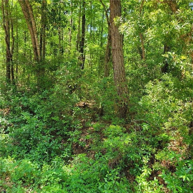 0 5th Ave, Theodore, AL 36582